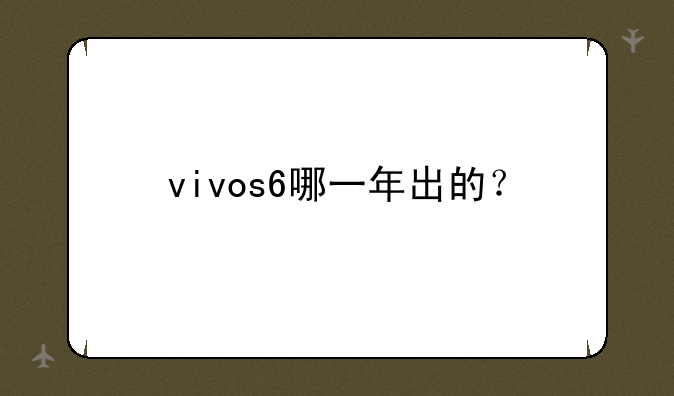 vivos6哪一年出的？