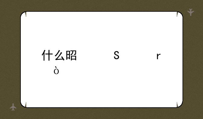 什么是笔记本？
