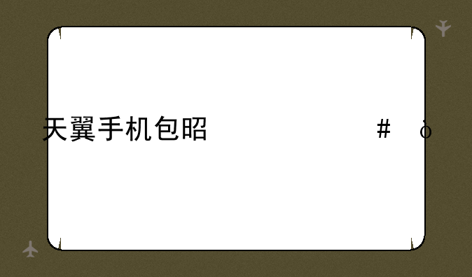 天翼手机包是什么？