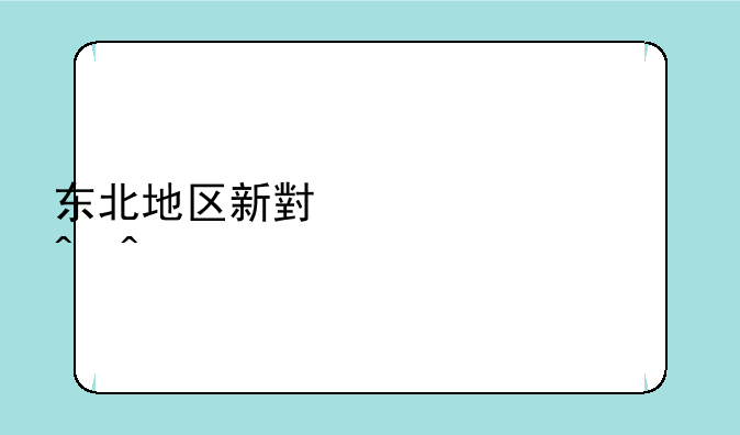东北地区新小米上市时间