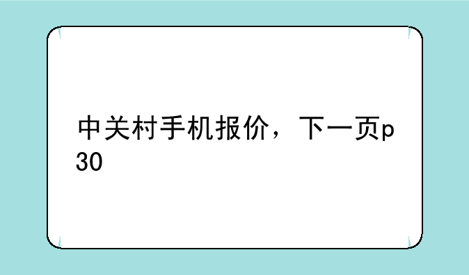 中关村手机报价，下一页p30