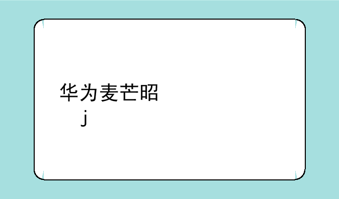华为麦芒是正规的手机吗？