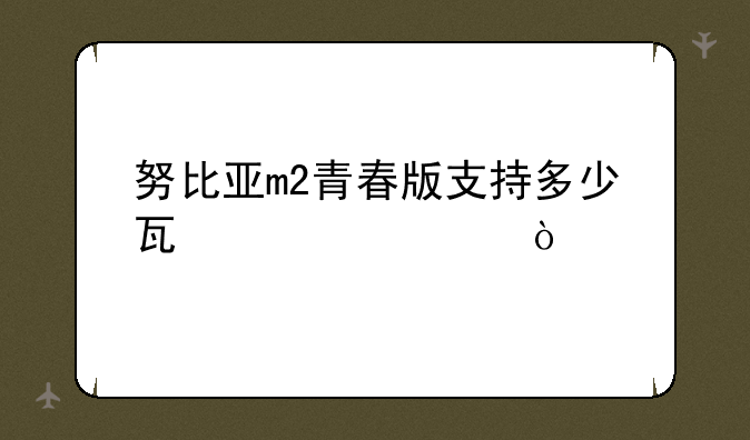 努比亚m2青春版支持多少瓦快充？