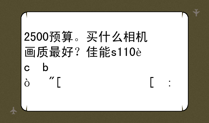 2500预算。买什么相机画质最好？佳能s110还是索尼nex-f3？或者其他推荐？我看淘宝港行是这个价位。