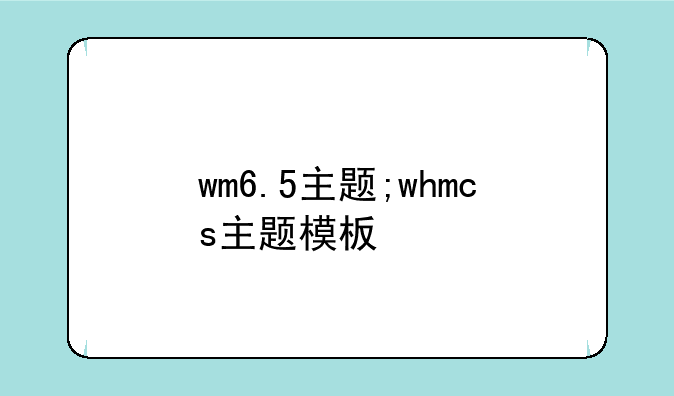 wm6.5主题;whmcs主题模板