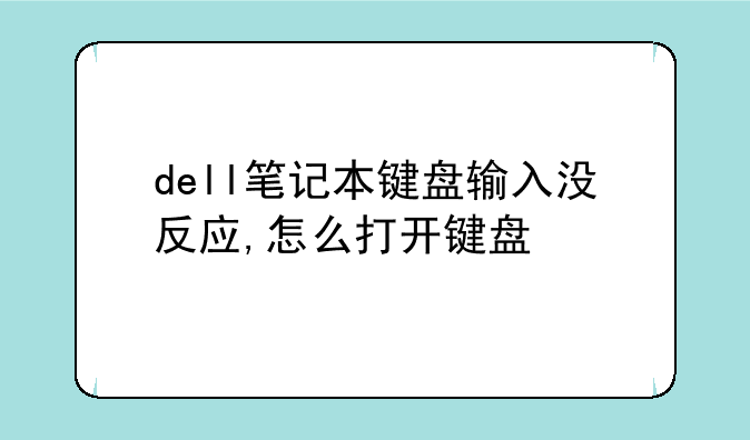 dell笔记本键盘输入没反应,怎么打开键盘