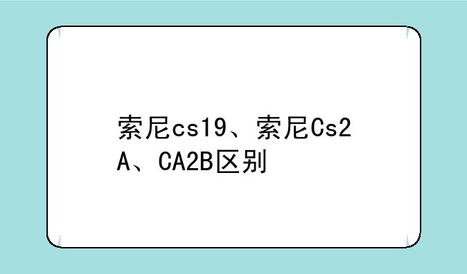 索尼cs19、索尼Cs2A、CA2B区别