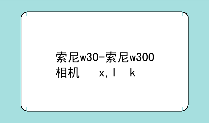 索尼w30-索尼w300相机参数