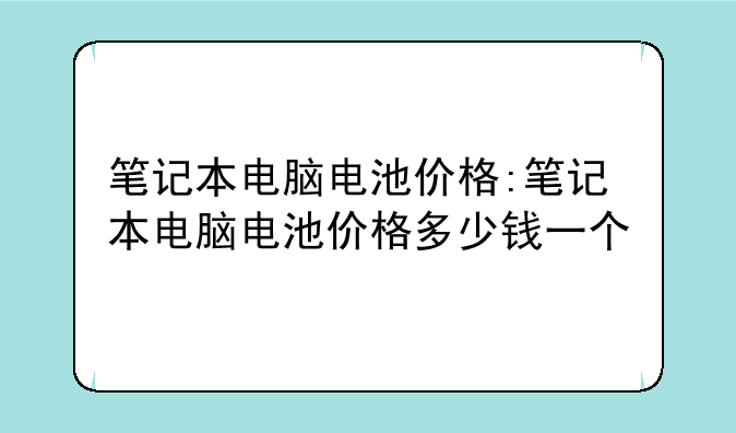 笔记本电脑电池价格:笔记本电脑电池价格多少钱一个