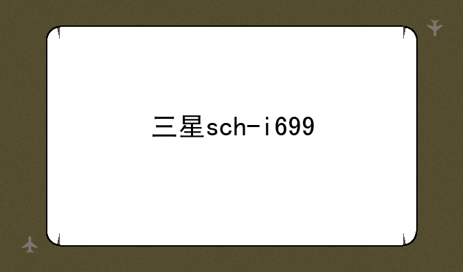三星sch-i699