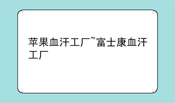 苹果血汗工厂~富士康血汗工厂