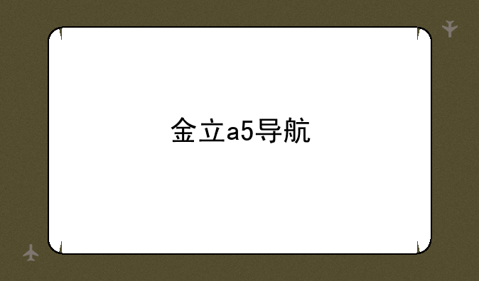 金立a5导航