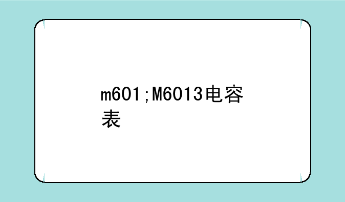 m601;M6013电容表