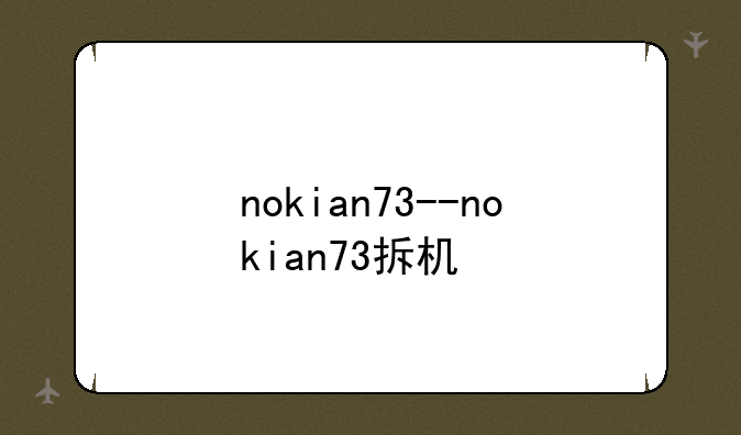 nokian73--nokian73拆机